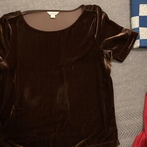 Sundance Rich Brown Velvet Short Sleeve Top